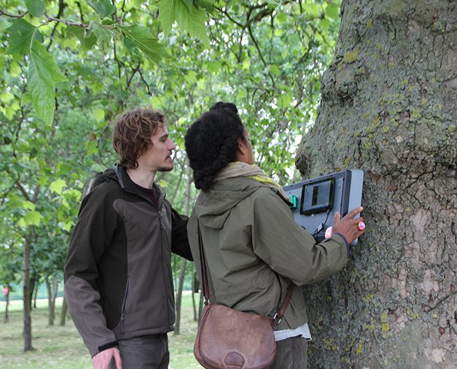 glitchy-scanner-reading-tree